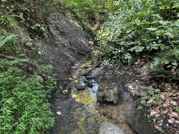 Tract 3 - Sheridan Woods property photo