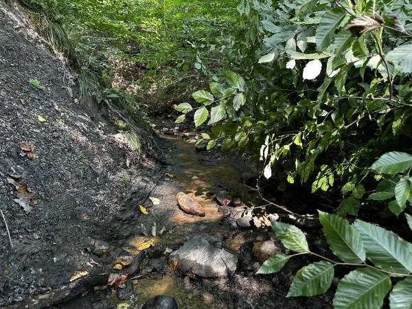 Tract 3 - Sheridan Woods property photo