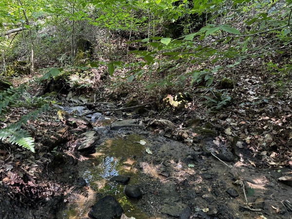 Tract 3 - Sheridan Woods property photo