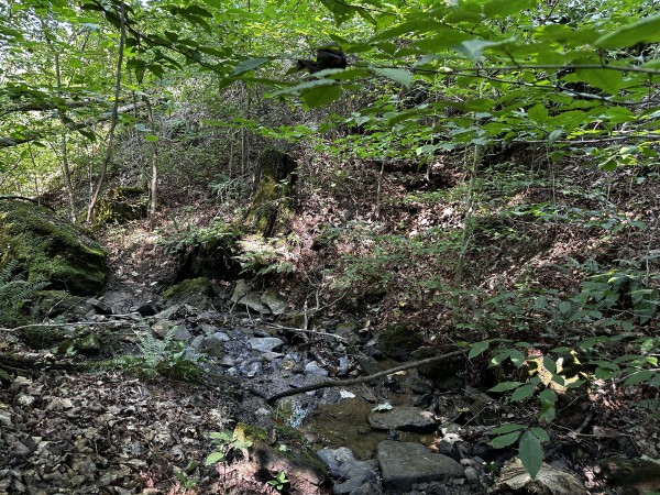 Tract 3 - Sheridan Woods property photo