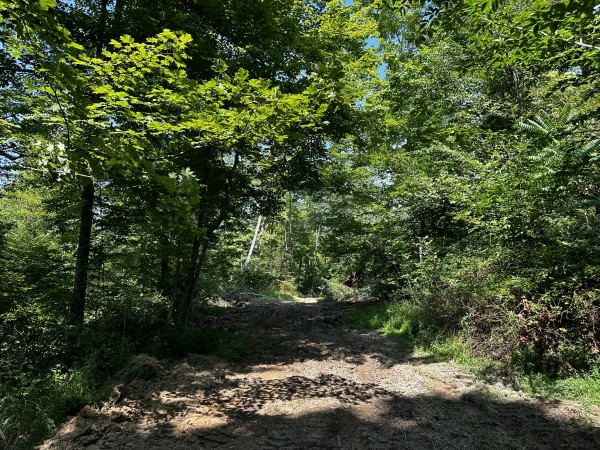 Tract 3 - Sheridan Woods property photo