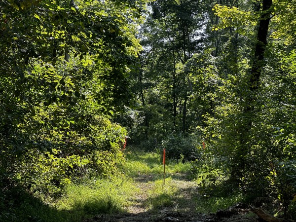 Tract 3 - Sheridan Woods property photo
