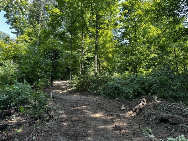 Tract 3 - Sheridan Woods property photo