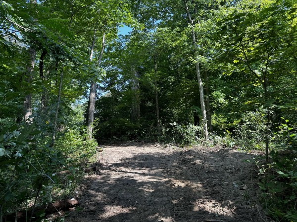 Tract 3 - Sheridan Woods property photo