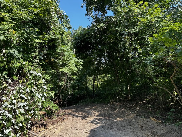 Tract 3 - Sheridan Woods property photo