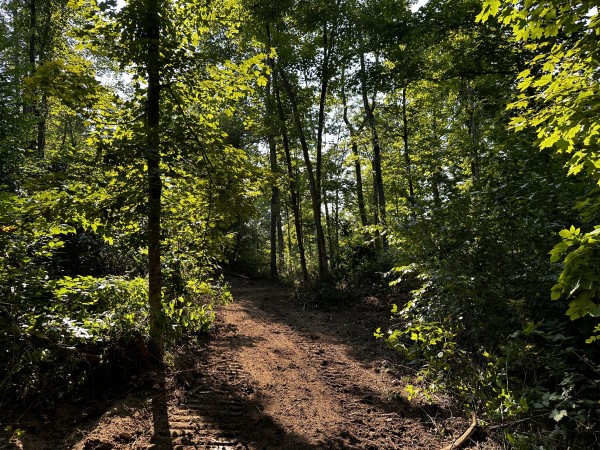 Tract 3 - Sheridan Woods property photo
