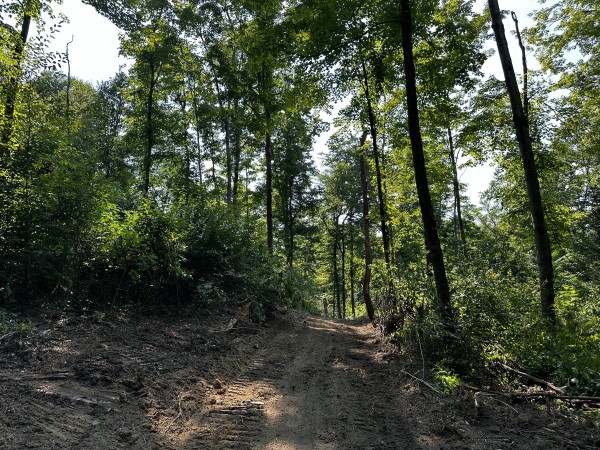 Tract 3 - Sheridan Woods property photo