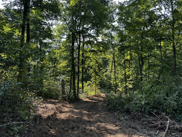 Tract 3 - Sheridan Woods property photo