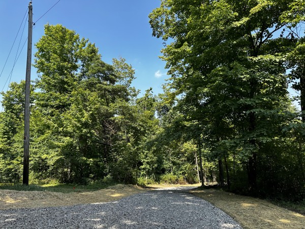 Tract 3 - Sheridan Woods property photo