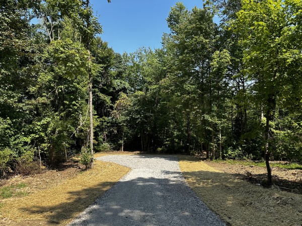 Tract 3 - Sheridan Woods property photo