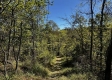 Tract 13 at The Woods on Wayne National Forest property photo