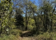 Tract 13 at The Woods on Wayne National Forest property photo