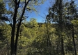 Tract 13 at The Woods on Wayne National Forest property photo