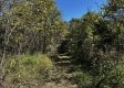 Tract 13 at The Woods on Wayne National Forest property photo