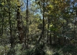 Tract 13 at The Woods on Wayne National Forest property photo