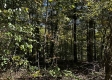 Tract 13 at The Woods on Wayne National Forest property photo