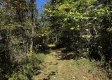Tract 13 at The Woods on Wayne National Forest property photo