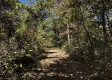 Tract 13 at The Woods on Wayne National Forest property photo