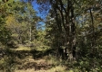 Tract 13 at The Woods on Wayne National Forest property photo