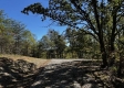 More of Tract 13 at The Woods on Wayne National Forest
