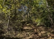 Tract 13 at The Woods on Wayne National Forest property photo