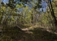 Tract 13 at The Woods on Wayne National Forest property photo