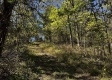 Tract 13 at The Woods on Wayne National Forest property photo