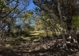 Tract 13 at The Woods on Wayne National Forest property photo