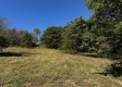 Tract 13 at The Woods on Wayne National Forest property photo