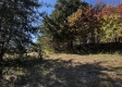 Tract 13 at The Woods on Wayne National Forest property photo