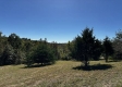 Tract 13 at The Woods on Wayne National Forest property photo