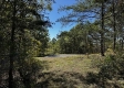 More of Tract 13 at The Woods on Wayne National Forest