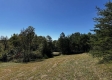 More of Tract 13 at The Woods on Wayne National Forest