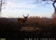 Tract 13 at The Woods on Wayne National Forest property photo