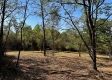Tract 6 - The Woods at Dutch Ridge property photo
