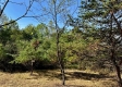 Tract 6 - The Woods at Dutch Ridge property photo