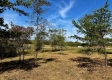 Tract 6 - The Woods at Dutch Ridge property photo