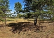 Tract 6 - The Woods at Dutch Ridge property photo