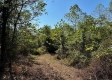 Tract 6 - The Woods at Dutch Ridge property photo