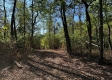 Tract 6 - The Woods at Dutch Ridge property photo
