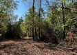 Tract 6 - The Woods at Dutch Ridge property photo