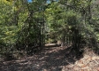 Tract 6 - The Woods at Dutch Ridge property photo