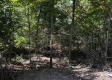 Tract 6 - The Woods at Dutch Ridge property photo