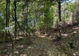 Tract 6 - The Woods at Dutch Ridge property photo