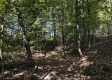 Tract 6 - The Woods at Dutch Ridge property photo