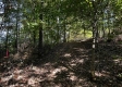 Tract 6 - The Woods at Dutch Ridge property photo
