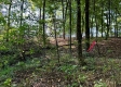 Tract 6 - The Woods at Dutch Ridge property photo