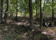 Tract 6 - The Woods at Dutch Ridge property photo