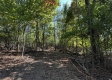 More of Tract 6 - The Woods at Dutch Ridge