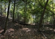 Tract 6 - The Woods at Dutch Ridge